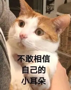 猫星人表情包