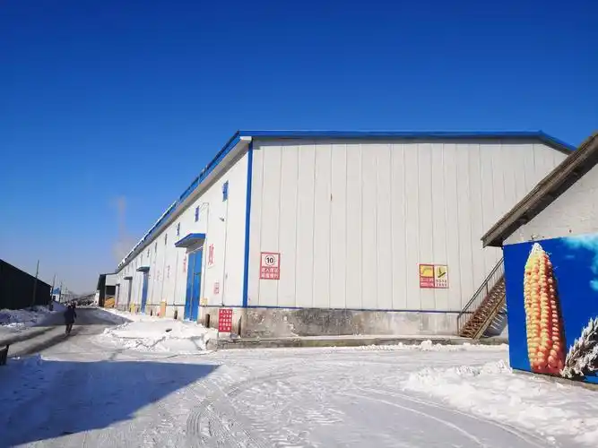 钢结构平房仓(1) 储存量15000吨