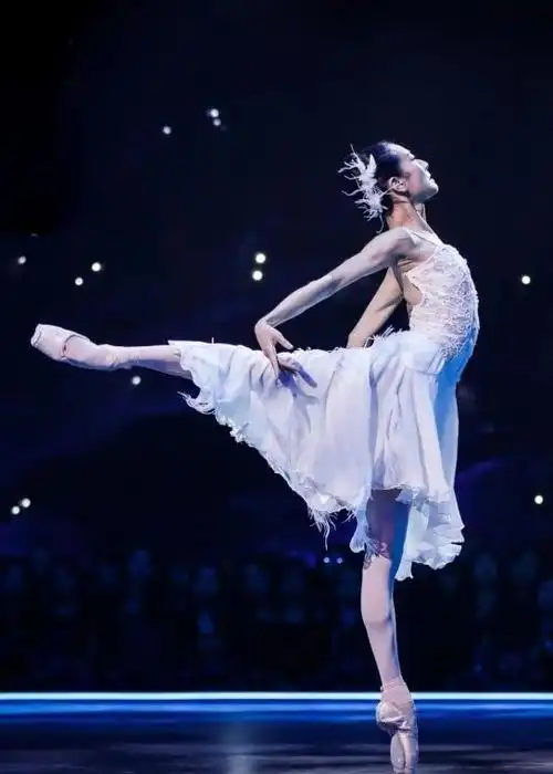 舞蹈风暴王者归来有一种美叫谭元元