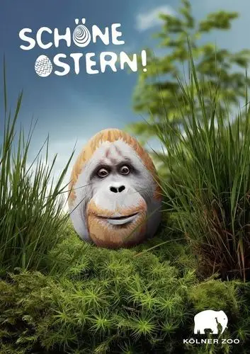 【图】科隆动物园的创意海报广告 - ux创意杂志_kevin741963的收集_我