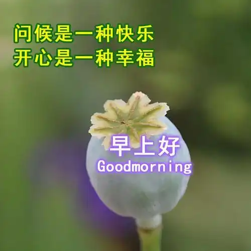 早安祝福语录精选祝福图片日出东海落西山愿你快乐每一天