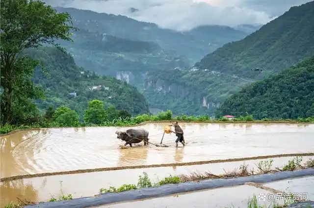 诗人们在赞美劳动人民的同时,也表达出内心对田园生活的向往