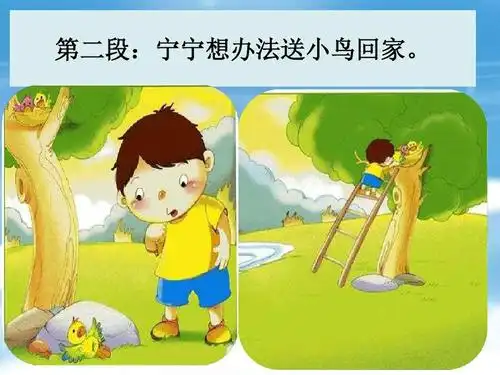看图写话7《送小鸟回家》ppt