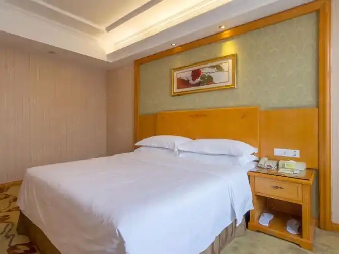 维也纳酒店(天津长虹公园地铁站店)客房图片大全_维也纳酒店(天津长虹