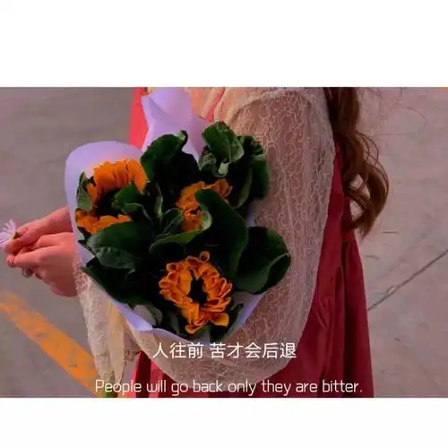 抖音热门背景图文字背景图