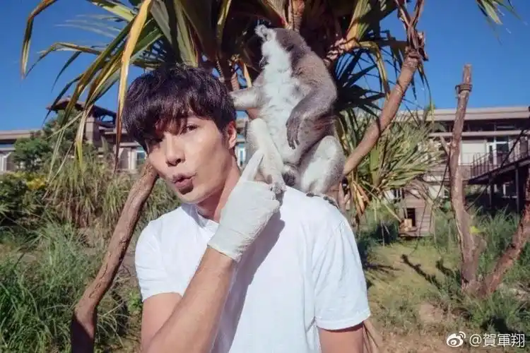 贺军翔现在看还会心动的童年男神