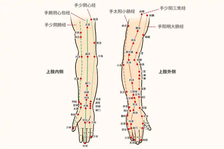 经过手腕的经络为手三阴经和手三阳经.