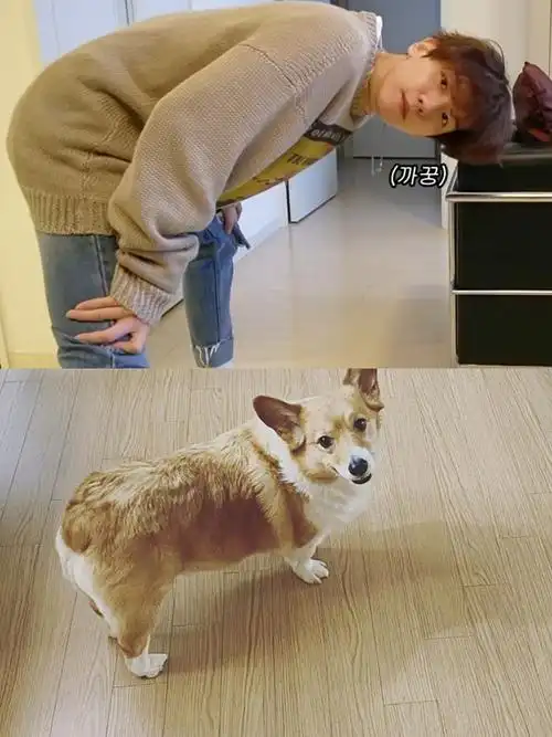 男友视角 边伯贤 - 堆糖,美图壁纸兴趣社区