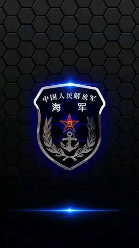 热血壁纸 军迷必备 臂章大全