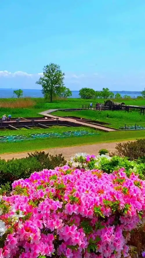 遇见最美的你动态壁纸_高清竖屏视频下载-火萤壁纸