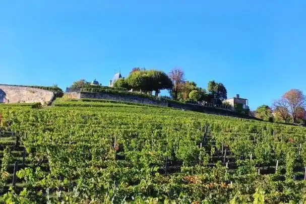 开车去欧洲第31集:探访赵薇的法国红酒庄园,见识明星海外钞能力