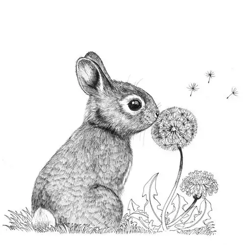 一组黑白小动物插图