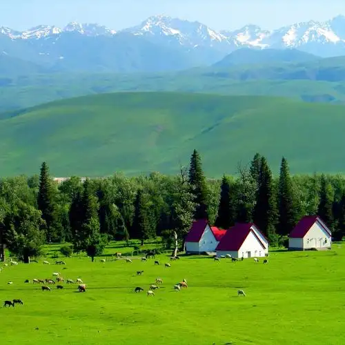 和环妹一起来旅行# 新疆最美的地方在伊犁伊犁最美的地方在新源新源