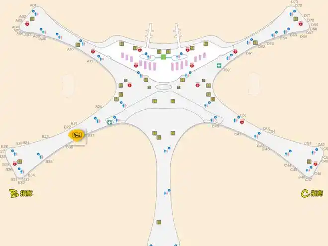 玻璃构筑而成的穹顶之下形似金色凤凰的世界最大单体航站楼就属向机场