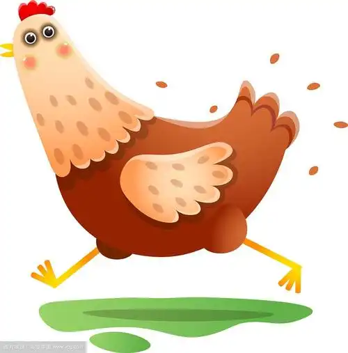 卡瓦依跑母鸡以快速的速度越过白色