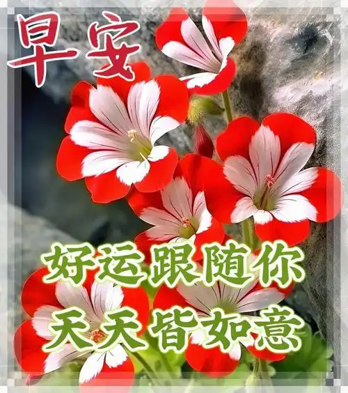 让牵挂念念不忘.让健康四季相守!早上好!