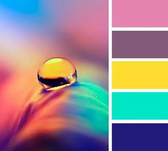 来自大自然的配色方案!完美