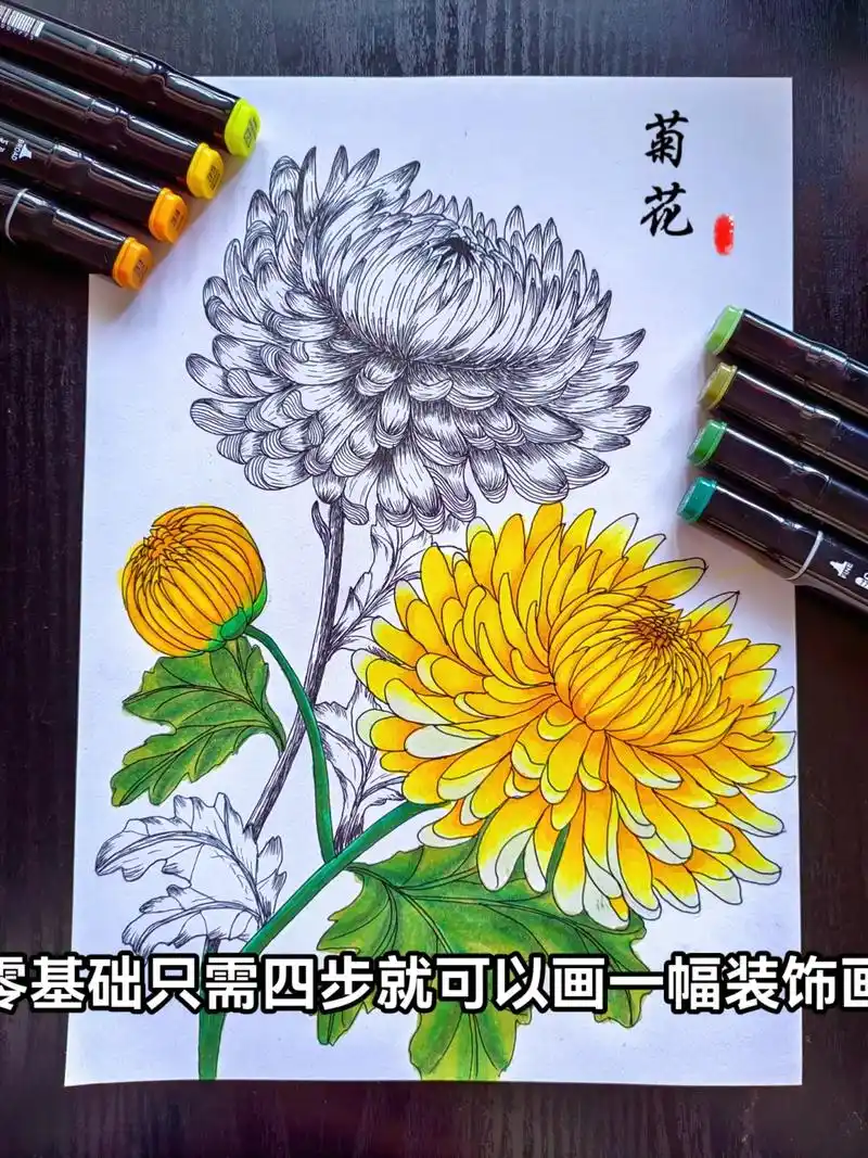 [菊花]零基础学画画—花卉手绘线描装饰画.零基础只需四步就可 - 抖音