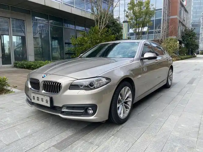 宝马 宝马5系  2017款 525li 领先型图片