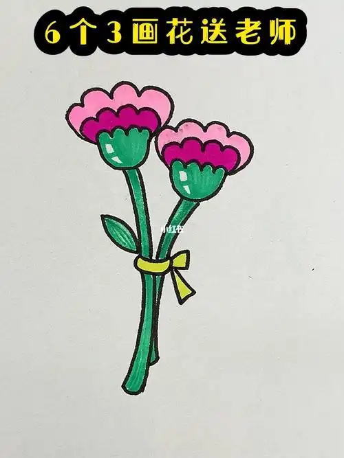6个3画康乃馨
