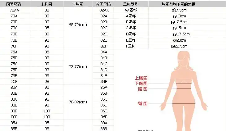 溥罩杯带38 40的文胸尺码是