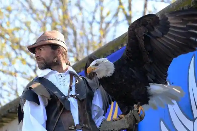 临近尾声时所有的鸟都在看台上空翱翔,黑压压一片,甚是壮观.