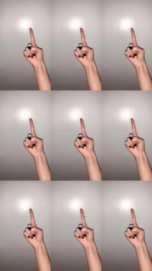 全国统一蹦迪手势!