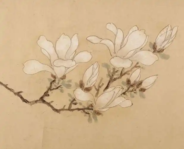 新品明代文徵明白玉兰图卷文征明宣纸画芯古画原作国画