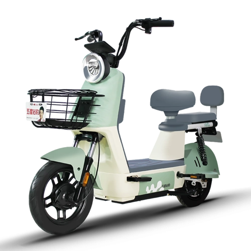 新国标电瓶车48v18ah男女小型代步车两轮电动自行车 源彩素绿/漫步白