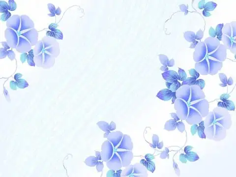 一组淡雅的背景素材 - 理睬 - .