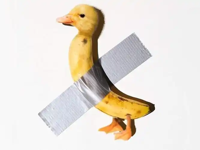 原创脑洞大开的设计师把动物与图片ps之后看上去非常有趣