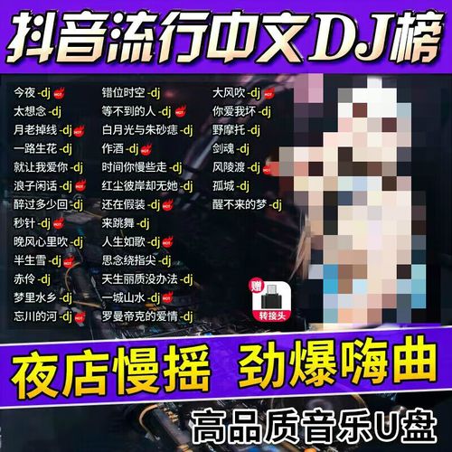 音歌曲mp3音频重低音无损精选视频mv 32g 中文重低音dj舞曲 视频下载