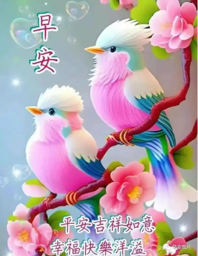 吉祥如意 早上好 富贵吉祥 早安 深秋已至,天渐寒 和谐美满 - 抖音