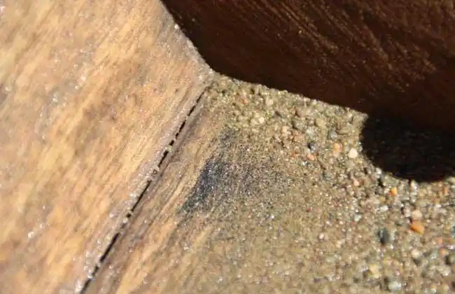 砂中金命是什么意思?