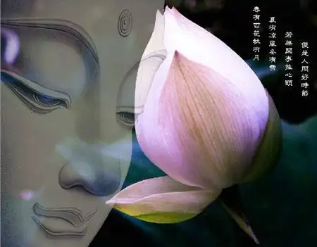 佛教故事:佛说喝酒的35项害处!