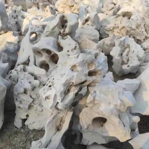 白太湖石中式庭院景观石