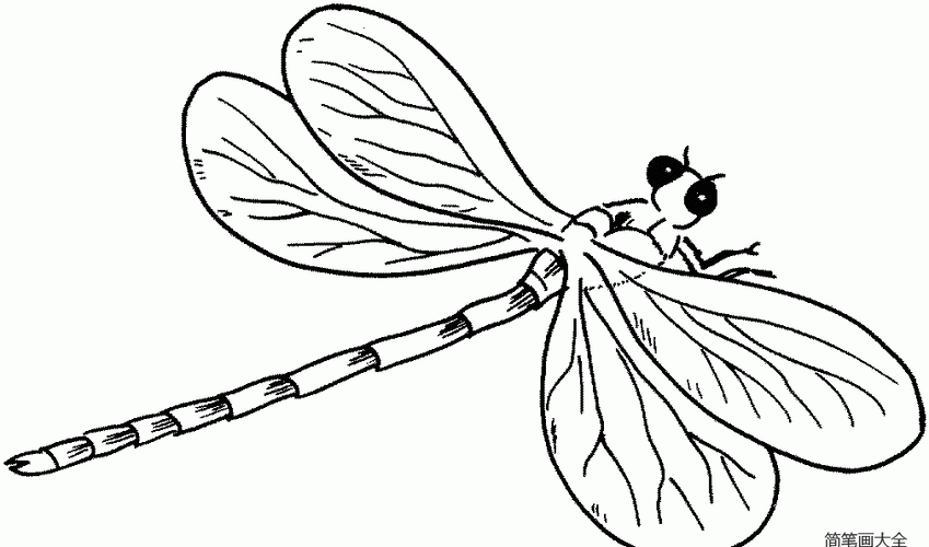 可爱的蜻蜓简笔画