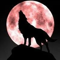 微信头像狼的头像大全下载【点击鼠标右键下载】