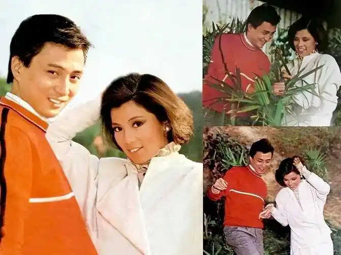 在死者的客厅,他找到了奇怪的标语_苗侨伟_梅艳芳_邹世龙