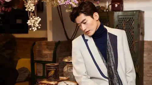 内地明星 张翰 明星风尚壁纸