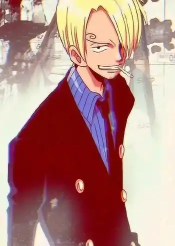 海贼王全员合集