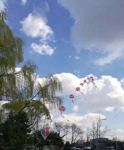 迎面吹来凉爽的风