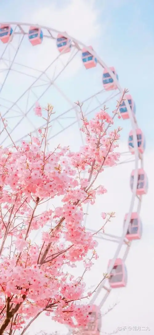 治愈系粉色樱花高清手机壁纸