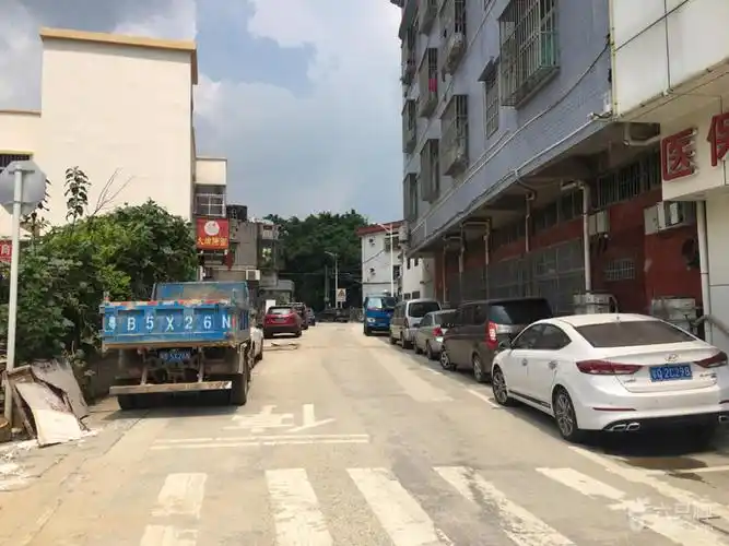 葵涌自行车道调查脚印-47