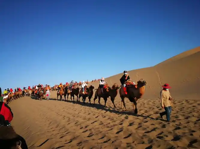 鸣沙山月牙泉,骑骆驼.