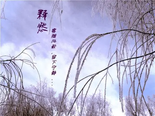 释然- 丫丫 - 猎