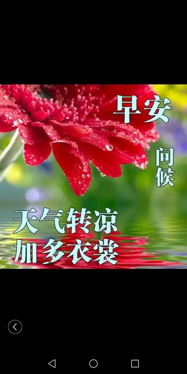 冬日已至 #期待夏日#想念夏日的蓝天#朋友们早上好#多穿衣 - 抖音