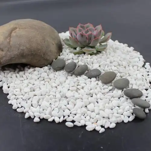 white pebble 盆栽盆景配衫白石子 出口园林鹅卵石 景观砾石