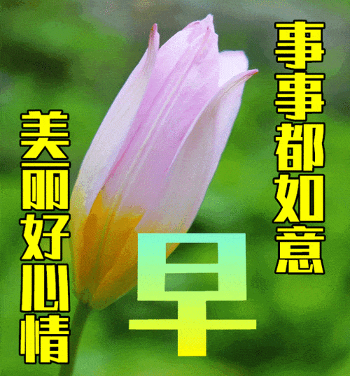 5月19日最漂亮早上好动态表情图片大全,早晨好动图美图大全_夏天_日子