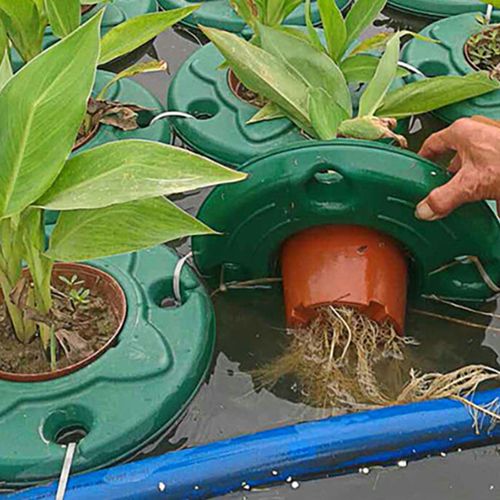 人工生态浮岛水上河道绿化种植生态浮床水面植物水稻蔬菜种菜浮板